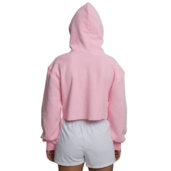 Champion Reverse Weave Cropped Cropped Hoodie Sweatshirt - Picture 3 of 10